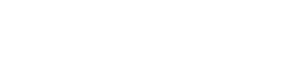 Steve Dent Stunts Logo