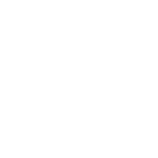 Visune Logo