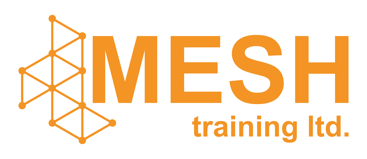 Mesh Training Logo
