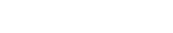 Visune Logo